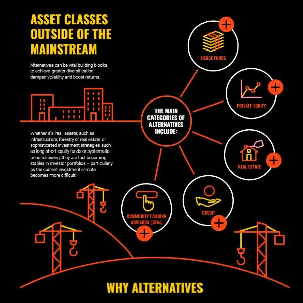 BlackRock — Engaging series of infographics exploring alternative investments